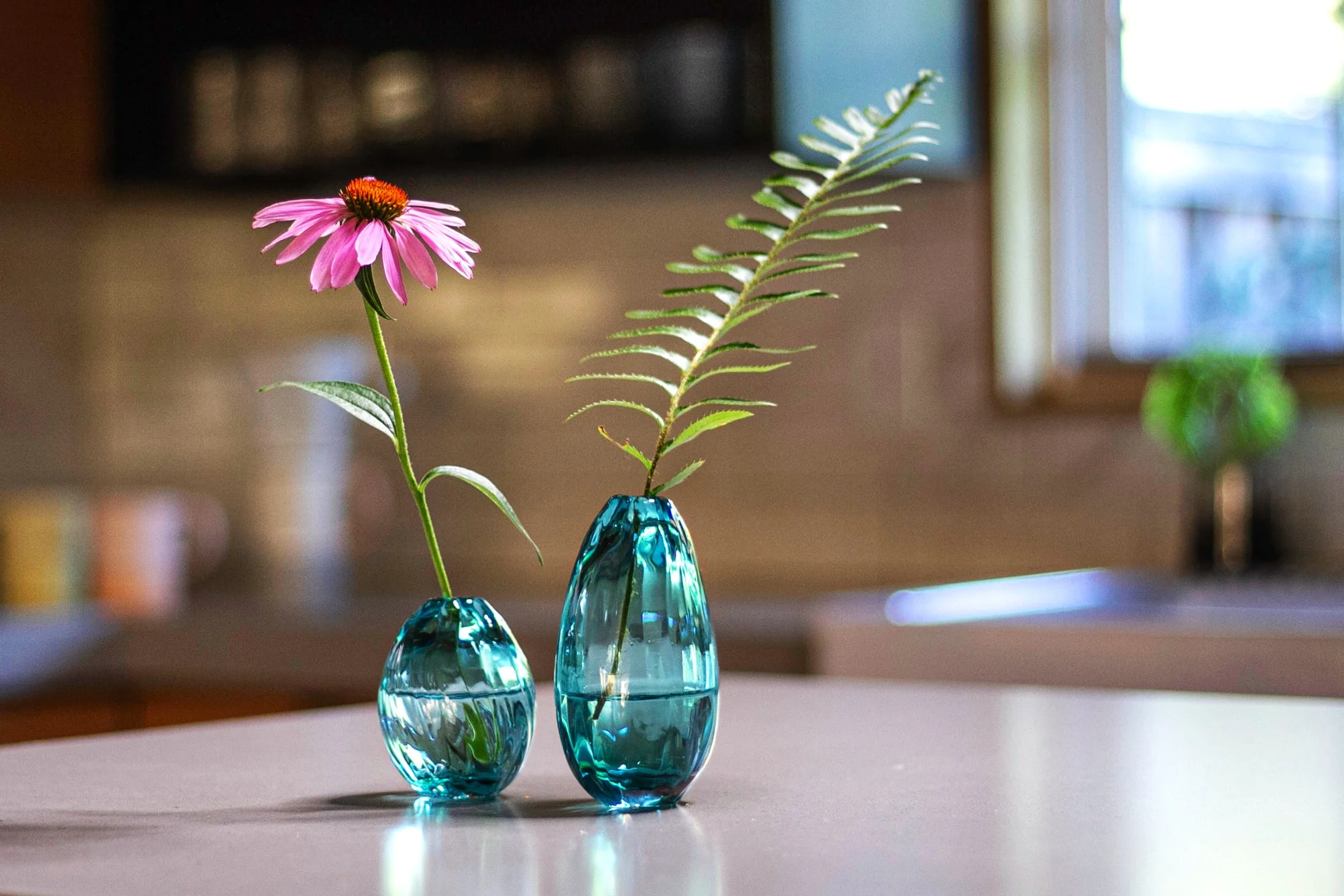 Seed+Vases+Context+.jpg?format